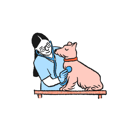 veterinaire illustration